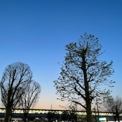 rwadaのプロフィール