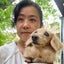 画像 横尾侑里の開運気学。たまに愛犬のユーザープロフィール画像
