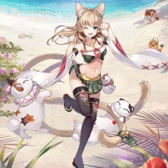 猫又のプロフィール