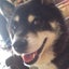 hi-chan19のサムネイル