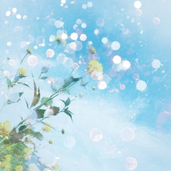 kicco  ＊natural-love-bird＊のプロフィール