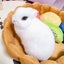 そらのサムネイル