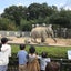 ココアのサムネイル