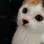 あずきなこあめのサムネイル