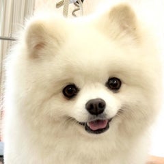 ☆★よっちゃん★☆のプロフィール