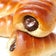 チョコパンのブログ