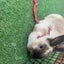 働きたくない限界会社員K子ちゃんのサムネイル