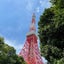 sakiのサムネイル