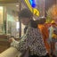 二浪丸のサムネイル