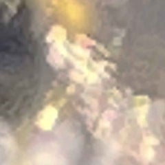 竜八のプロフィール