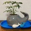 くじら3号のサムネイル