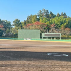 野球観戦のプロフィール