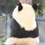 クスクスのサムネイル