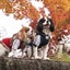 画像 元保護犬ひまわり大輪の花を咲かすぞ！と、うみ。のユーザープロフィール画像