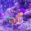 グミンのサムネイル
