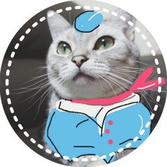 memeのプロフィール