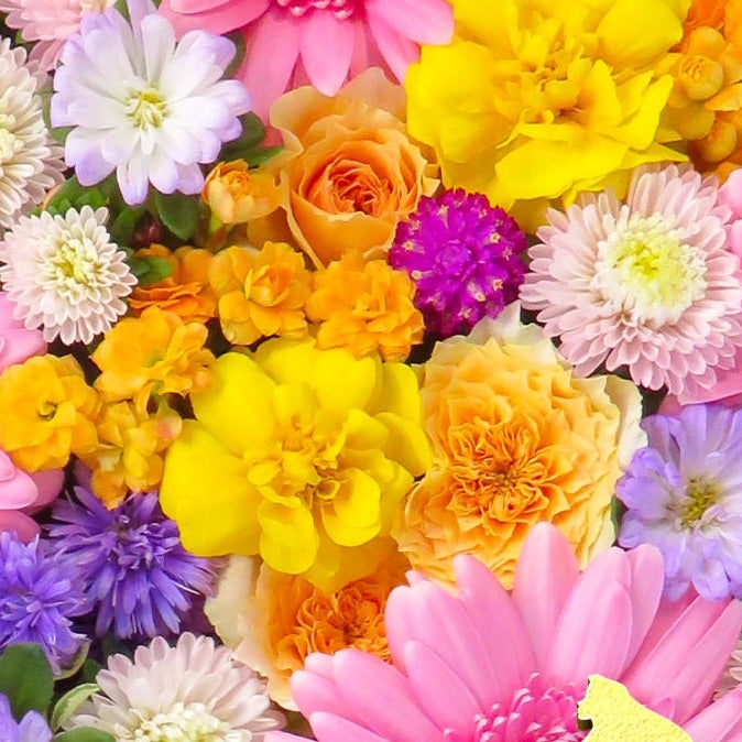 はな❁¨̮