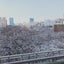 がんばらない日常のサムネイル