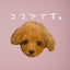 ココアのサムネイル