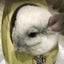 ナオのサムネイル