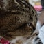 Yukichiのサムネイル