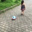 うめたろうのサムネイル