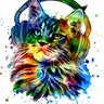 ねこねこのプロフィール