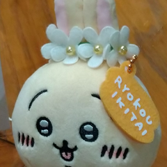 うさぎのプロフィール