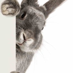 みぃのプロフィール
