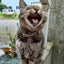 びぢーのサムネイル
