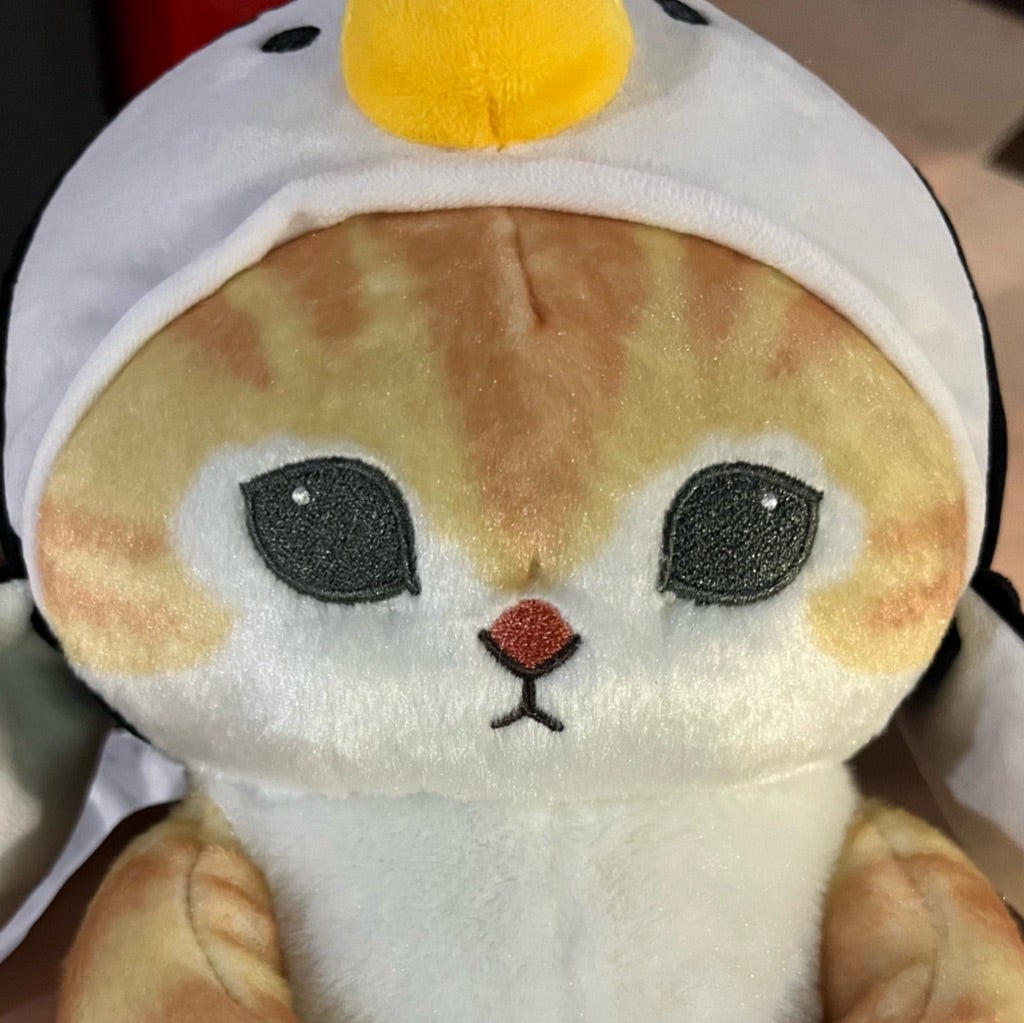 骨軟骨異形成症を発症したスコティッシュフォールドの記録③ 猫たちの記録ブログ 骨軟骨異形成症を発症したスコティッシュフォールドの記録③ 猫たちの記録ブログ