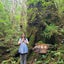 画像 屋久島森林浴瞑想ヨガのユーザープロフィール画像