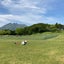 ひまわりのサムネイル