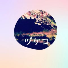 １日１捨て目標☆ヅケコのプロフィール