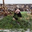 かふんのサムネイル