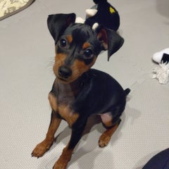 けんたろうのプロフィール
