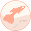 ぐっぴのサムネイル