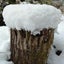 画像 寒がり雪男の日進月歩のユーザープロフィール画像