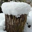寒がり雪男のサムネイル
