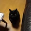 たまのサムネイル