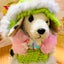 リリーのサムネイル