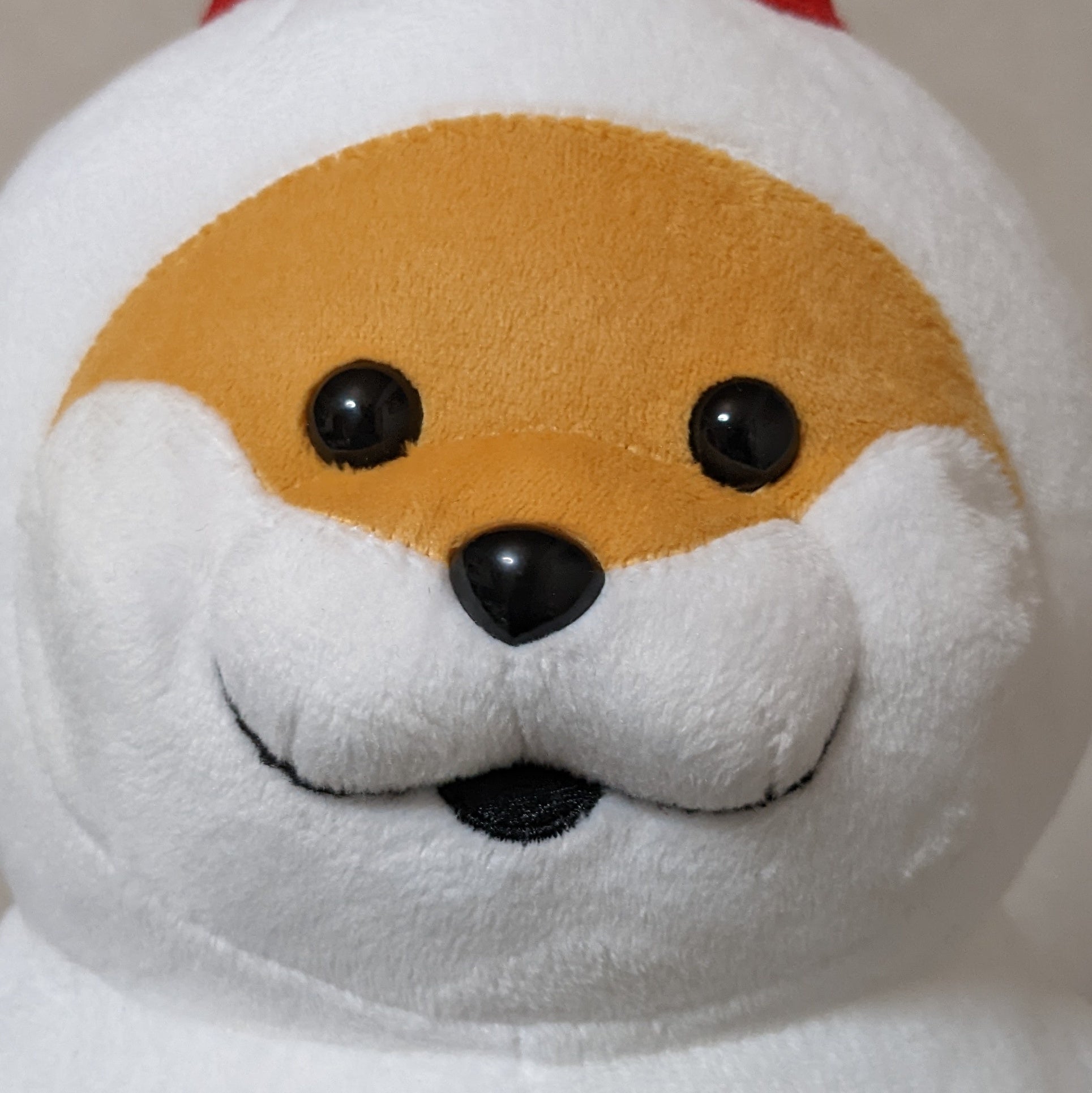 ゆきにゃん。