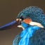 豊ちゃんのサムネイル