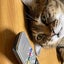 biyoushi123のサムネイル