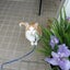 画像 猫バカ大王のユーザープロフィール画像