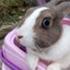 つんのサムネイル
