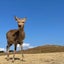 ぱぁこのサムネイル