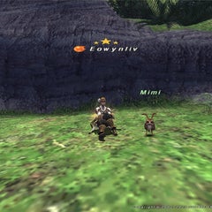 えおうぃんとゆかいな仲間たち【FF11】のプロフィール