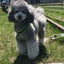 画像 愛犬との日記のユーザープロフィール画像