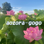 aozora-gogoのサムネイル